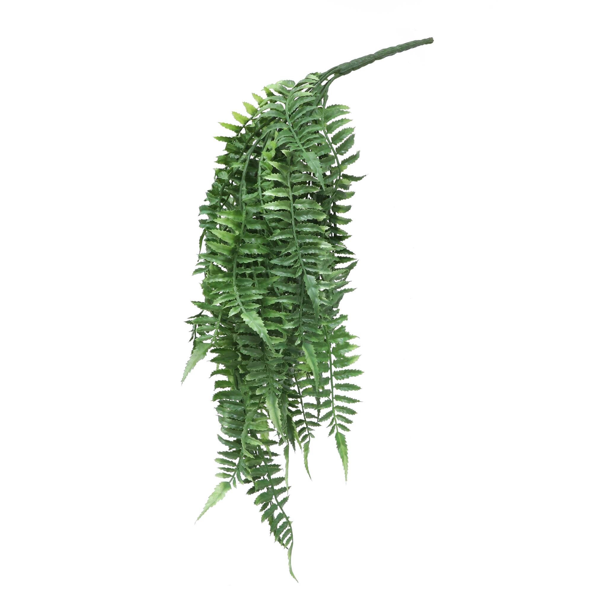 22" Green Hanging Fern Bush by Ashland®